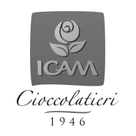 Logo Icam